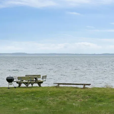 Near And Limfjord Thyholm
